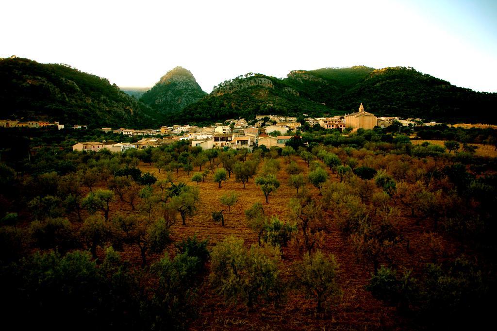 Vila Sa Casa De Ses Bicicletes Caimari Exteriér fotografie